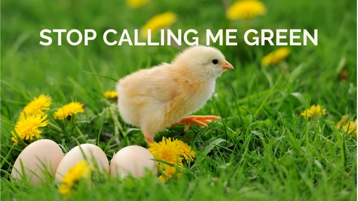 A baby chicken walks in a green field with eggs nearby. Text reads Stop Calling Me Green